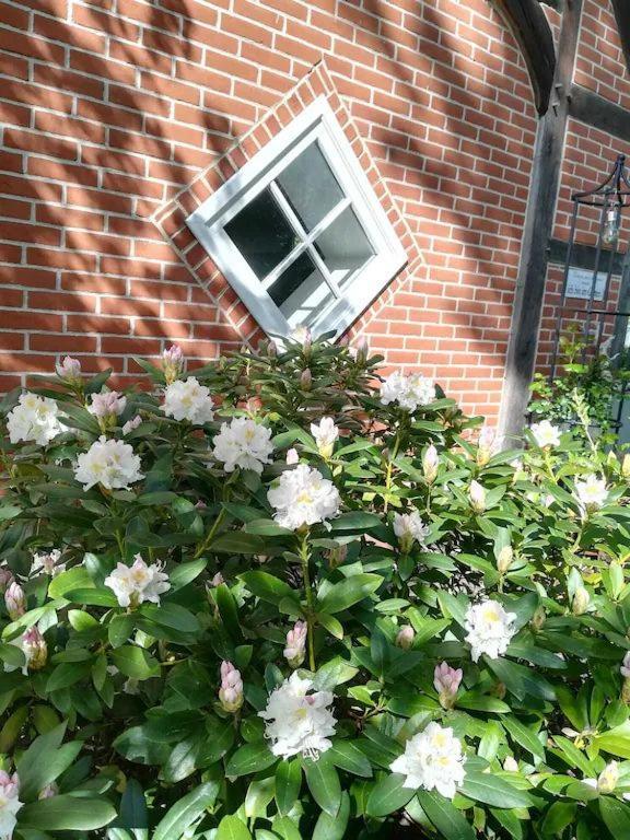 Trebbower Lake Retreat: Quiet Apartment Near Sea Klein Trebbow Exterior photo